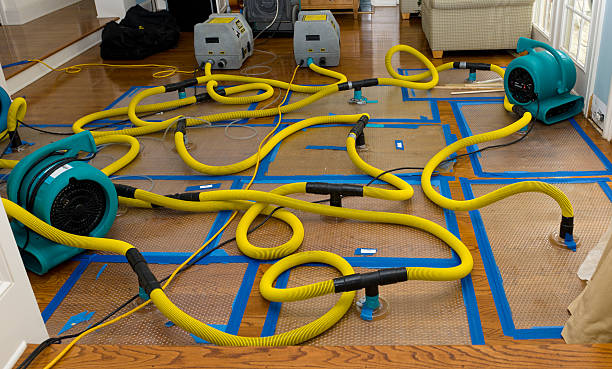 Professional Sewage Cleanup technician working in Struthers, OH